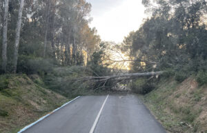 Els Bombers atenen 108 serveis per incidències causades pel vent