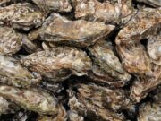 Les ostres avancen al mercat urbà
