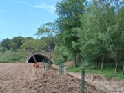 Vilafranca impulsa la renaturalització amb la plantació de 23 arbres autòctons