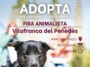 Vilafranca del Penedès organitza una Fira Animalista per promoure l’adopció responsable