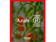 El negoci de tomàquets cherry d’Azura obté la certificació B Corp