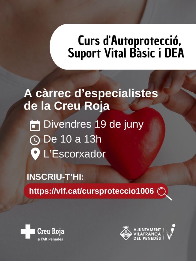 noticia_1781093901.jpg