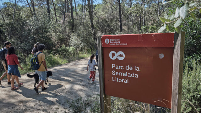 noticia_1782220582.jpg