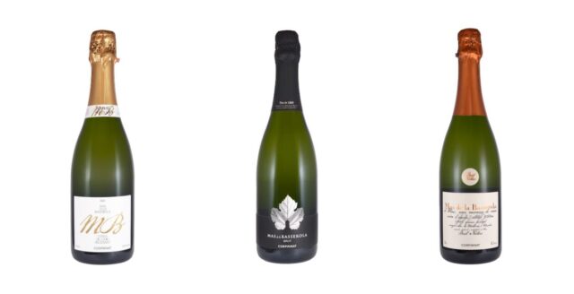 vins1