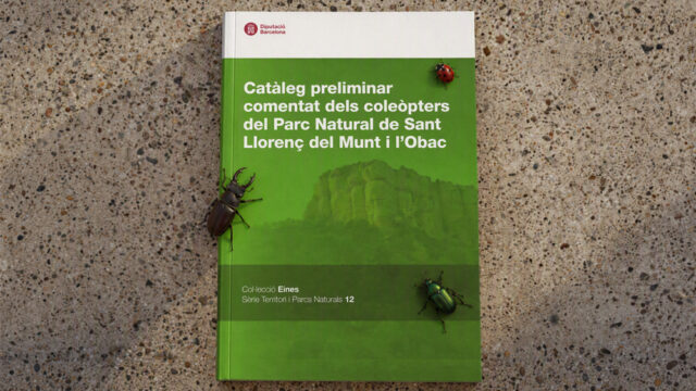 noticia_1793110574.jpg